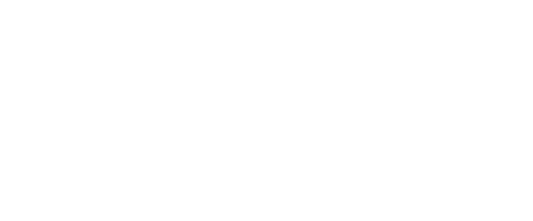 Velocity Jets Private Charter Services